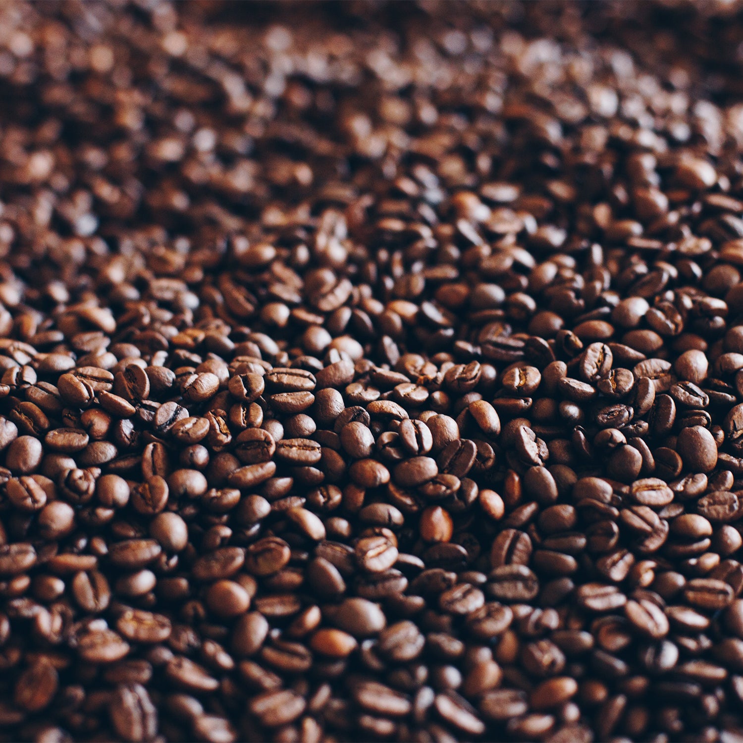 Coffee Bean Images